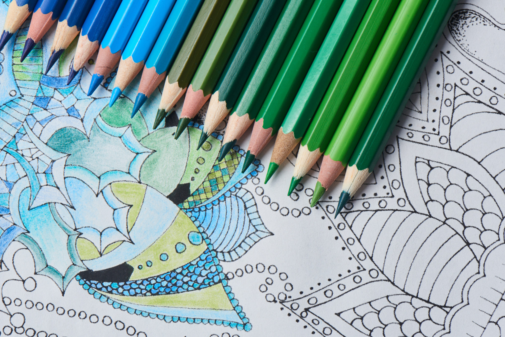 How to Color with Colored Pencils – A Brief Guide - Artlex