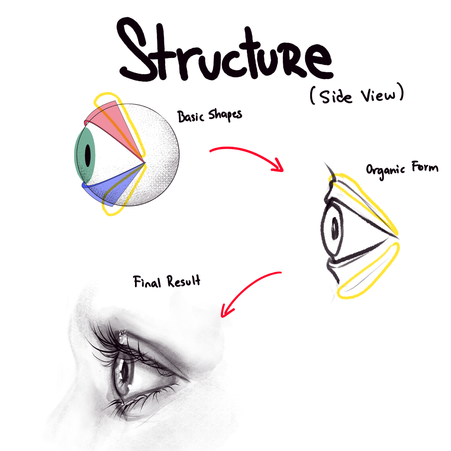 How to Draw Eyes – A Step-by-Step Tutorial - Artlex