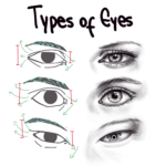 How to Draw Eyes – A Step-by-Step Tutorial – Artlex