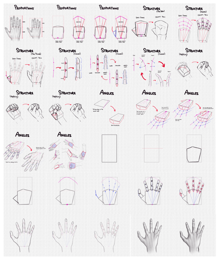 How to Draw Hands A Step by Step Tutorial Artlex