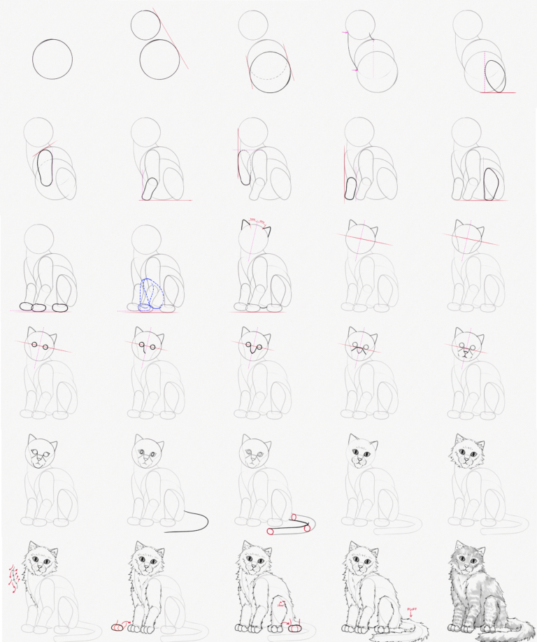 How To Draw A Cat Realistic Step By Step Tutorial Artlex