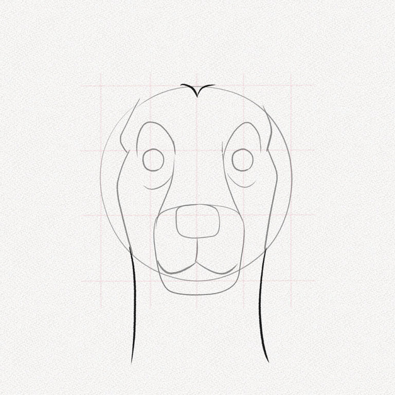 how-to-draw-a-dog-face-a-step-by-step-tutorial-artlex