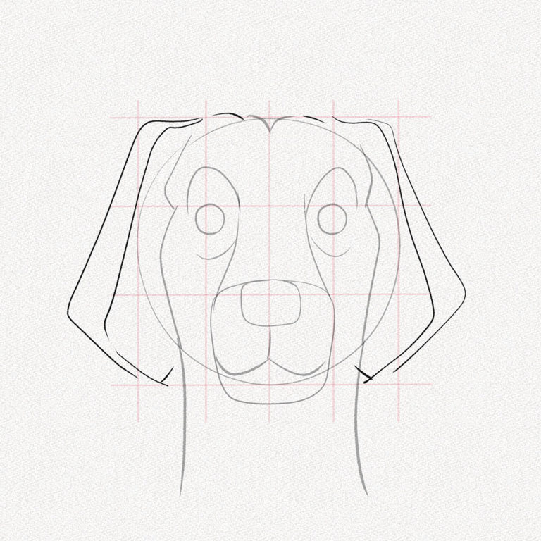 How to Draw a Dog Face – A Step-by-Step Tutorial – Artlex