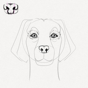 How to Draw a Dog Face – A Step-by-Step Tutorial - Artlex