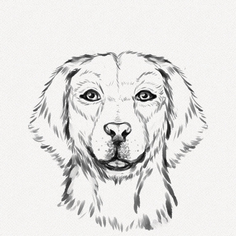 How to Draw a Dog Face – A Step-by-Step Tutorial - Artlex