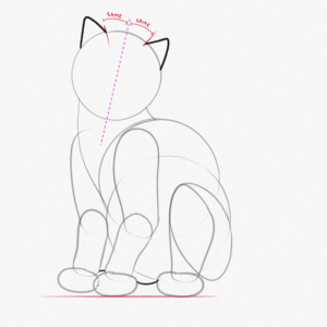 How to Draw a Cat (Realistic, Step-by-Step Tutorial) – Artlex