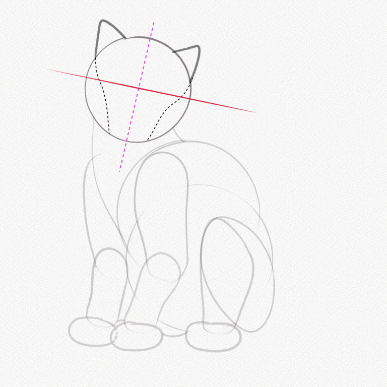 How to Draw a Cat (Realistic, Step-by-Step Tutorial) – Artlex