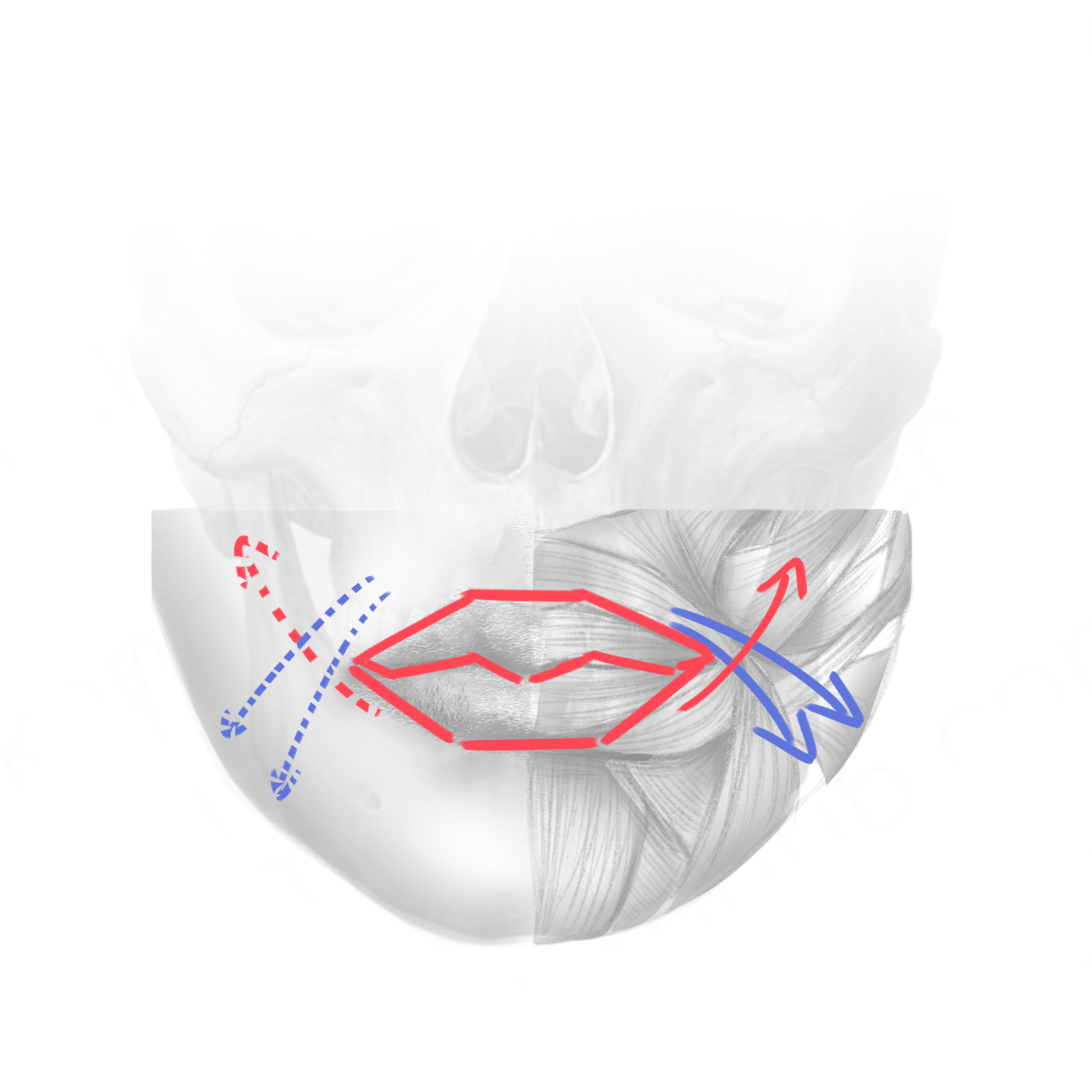 How To Draw Lips: A Step-by-Step Tutorial - Artlex