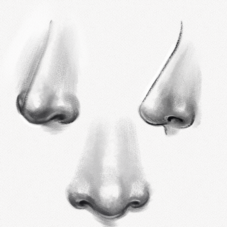 How To Draw A Nose – Step-by-Step Guide – Artlex