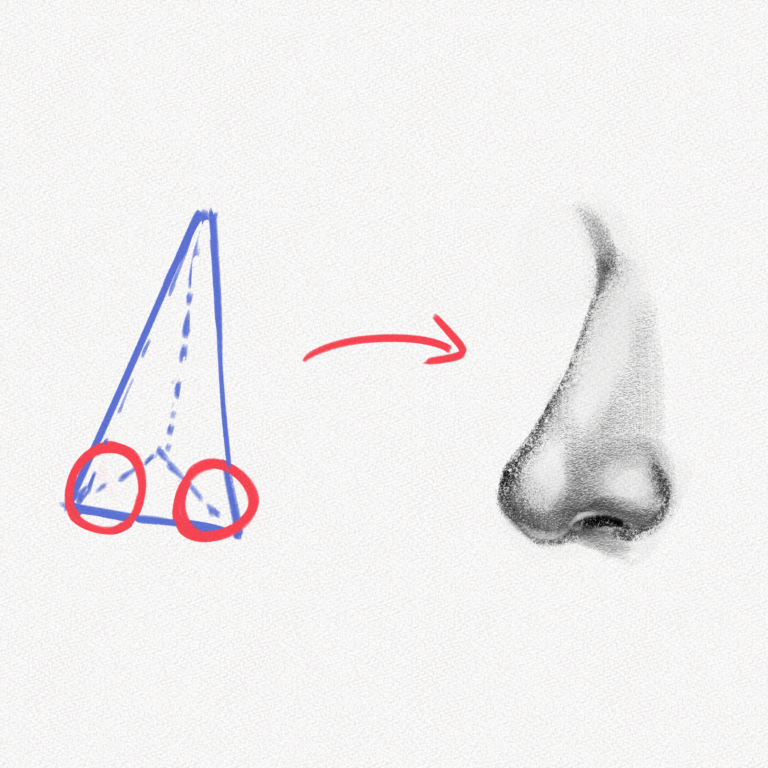 How To Draw A Nose – Step-by-Step Guide – Artlex