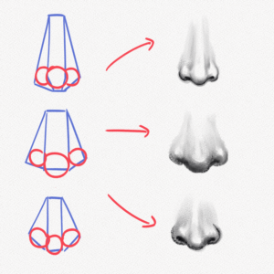 How To Draw A Nose – Step-by-Step Guide – Artlex
