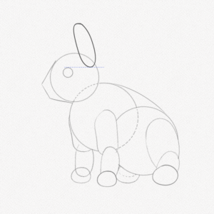 How to Draw a Rabbit: A Step-by-Step Guide – Artlex