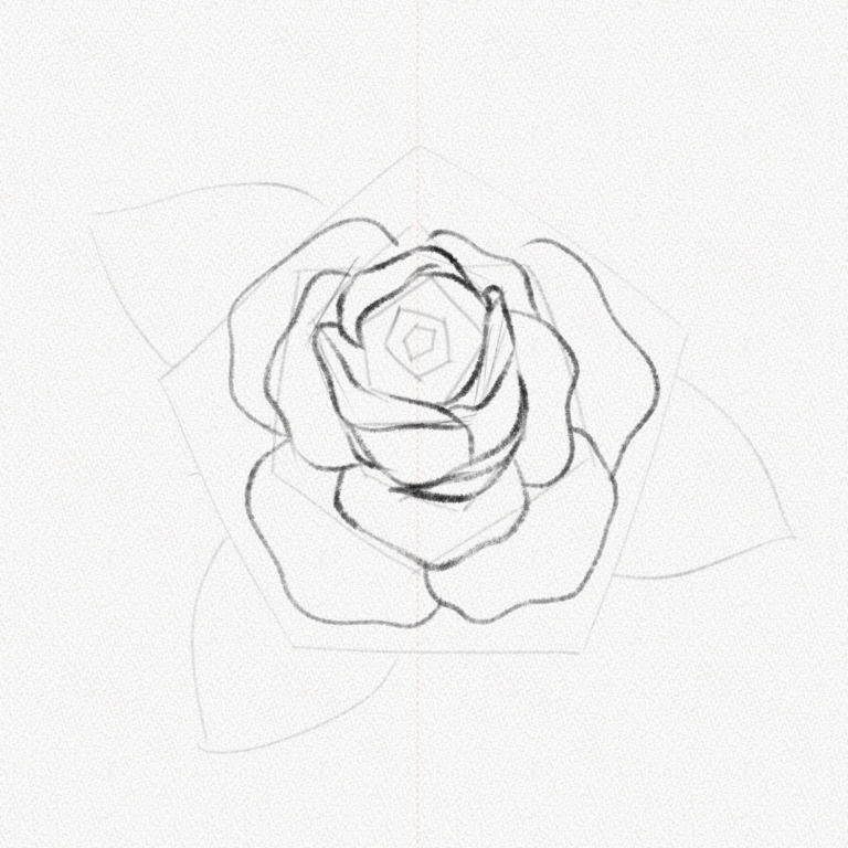 How To Draw A Rose – A Step-by-Step Tutorial - Artlex