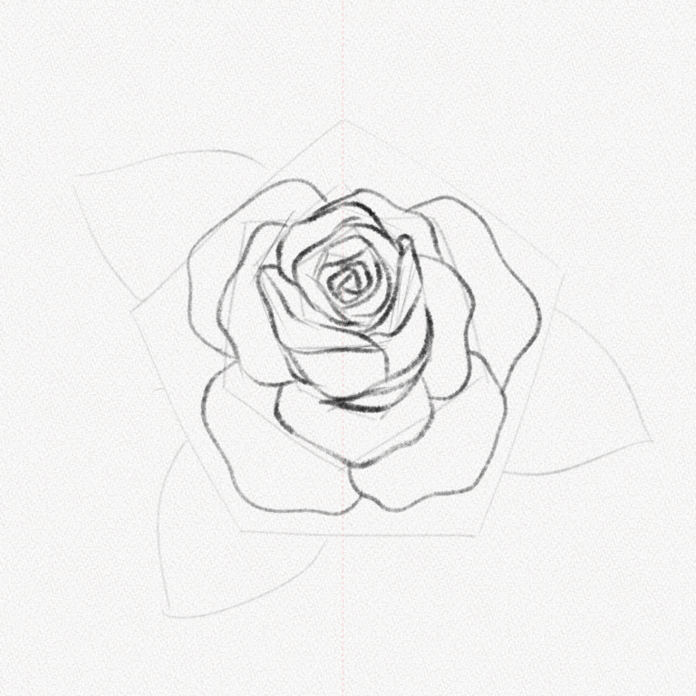 How To Draw A Rose – A Step-by-step Tutorial - Artlex