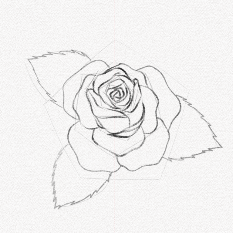 How To Draw A Rose A Step By Step Tutorial Artlex