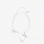 How To Draw A Bird – A Step-by-Step Tutorial – Artlex