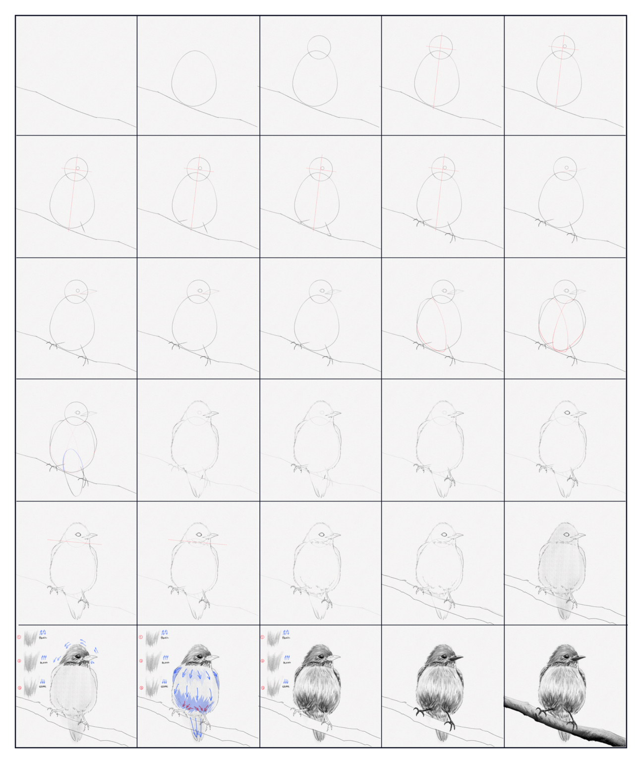 How To Draw A Bird – A Step-by-Step Tutorial - Artlex