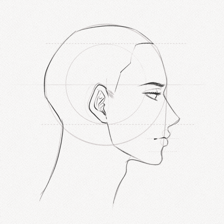 Side Profile Drawing – A Step-by-Step Tutorial - Artlex