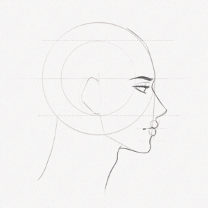 Side Profile Drawing – A Step-by-step Tutorial - Artlex