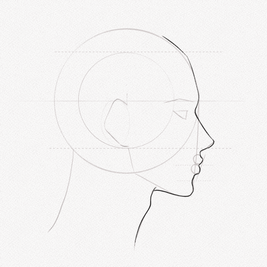 Side Profile Drawing A StepbyStep Tutorial Artlex