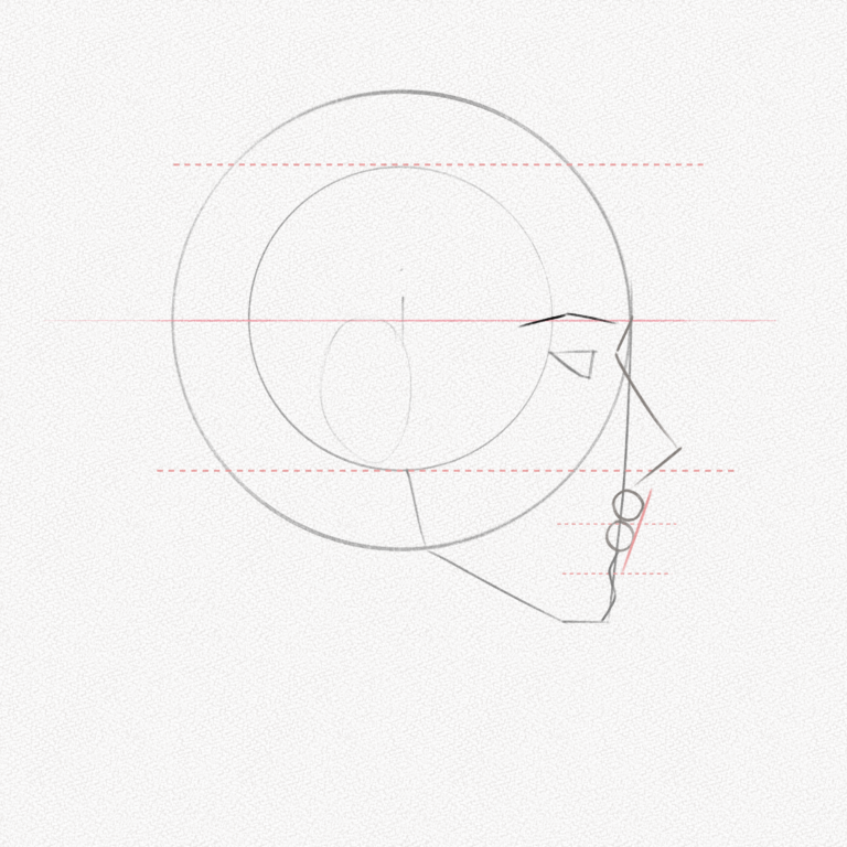 Side Profile Drawing – A Step-by-step Tutorial – Artlex