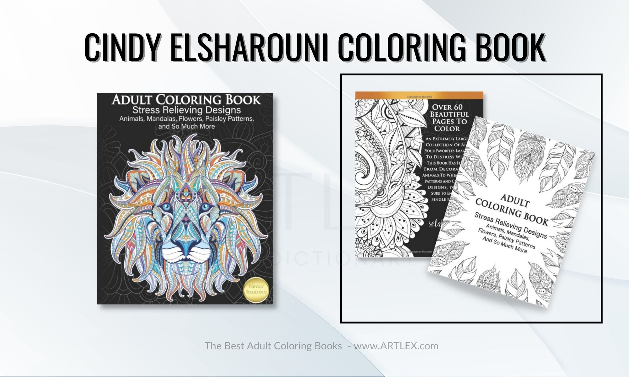 The 5 Best Adult Coloring Books In 2023 October Artlex 9383