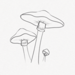 How to Draw A Mushroom – Step-by-Step Art Tutorial - Artlex