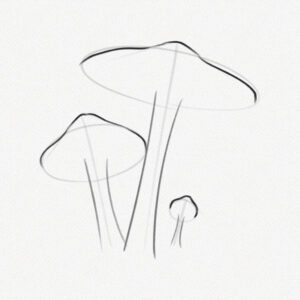 How To Draw A Mushroom – Step-by-step Art Tutorial – Artlex