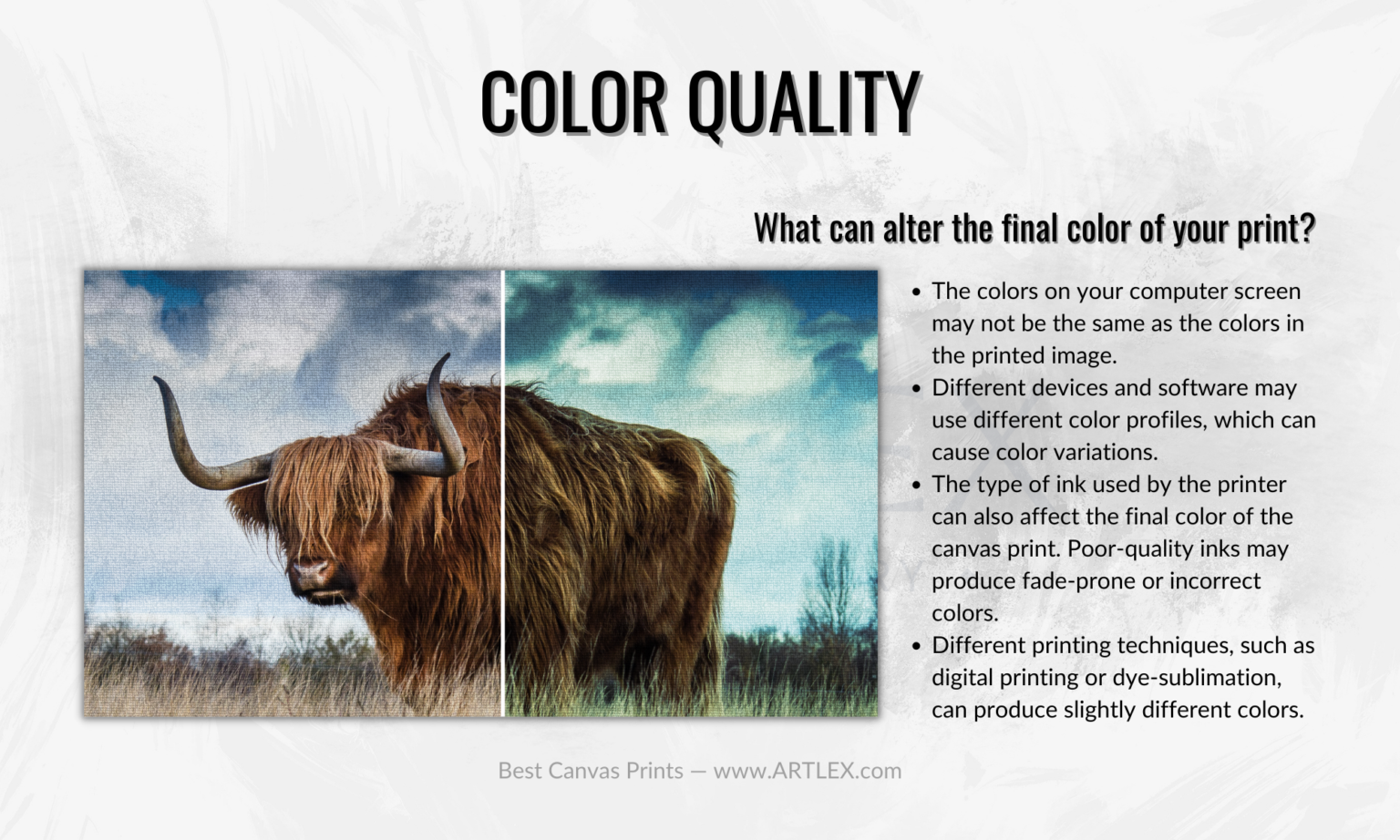 Color Quality Of Canvas Prints 1536x922 