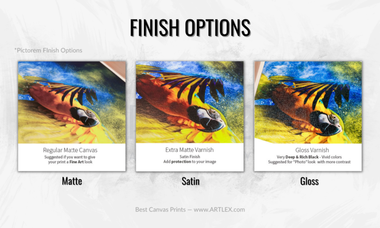 The 6 Best Canvas Print Companies In 2024 Artlex   Finish Options For Canvas Prints 768x461 