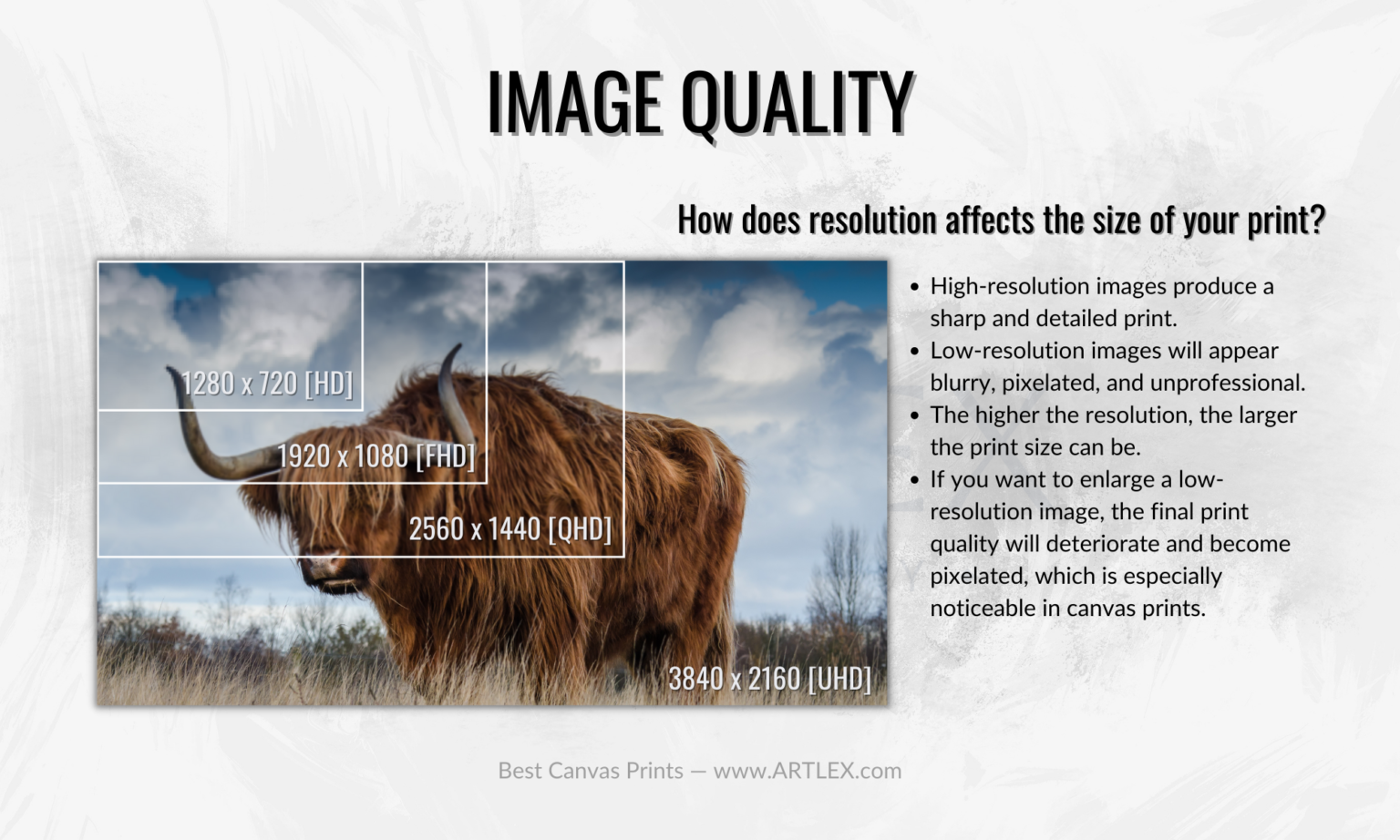 The 6 Best Canvas Print Companies In 2024 Artlex   Image Quality Of Canvas Prints 1536x922 