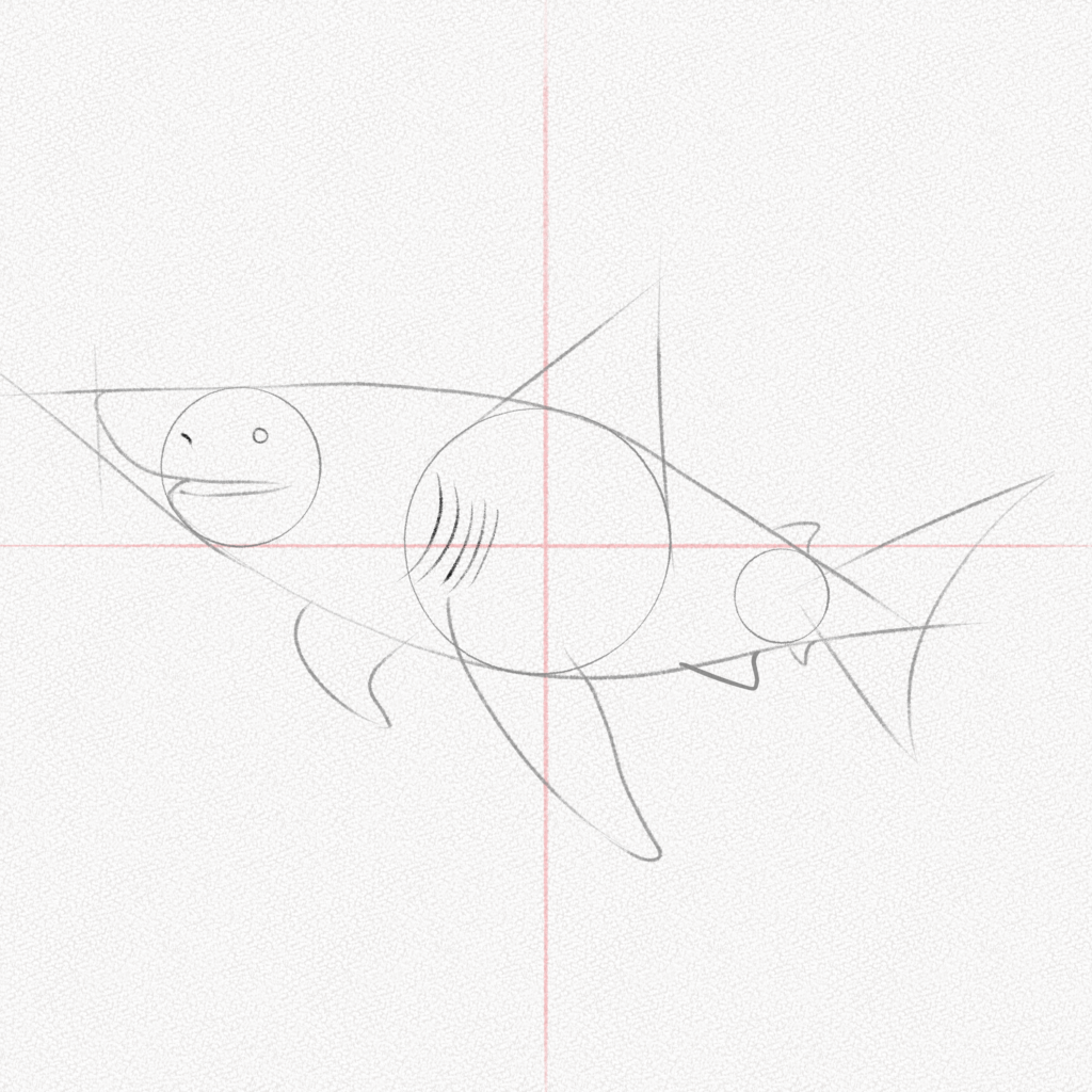 How To Draw A Shark A Step By Step Tutorial Artlex 0850