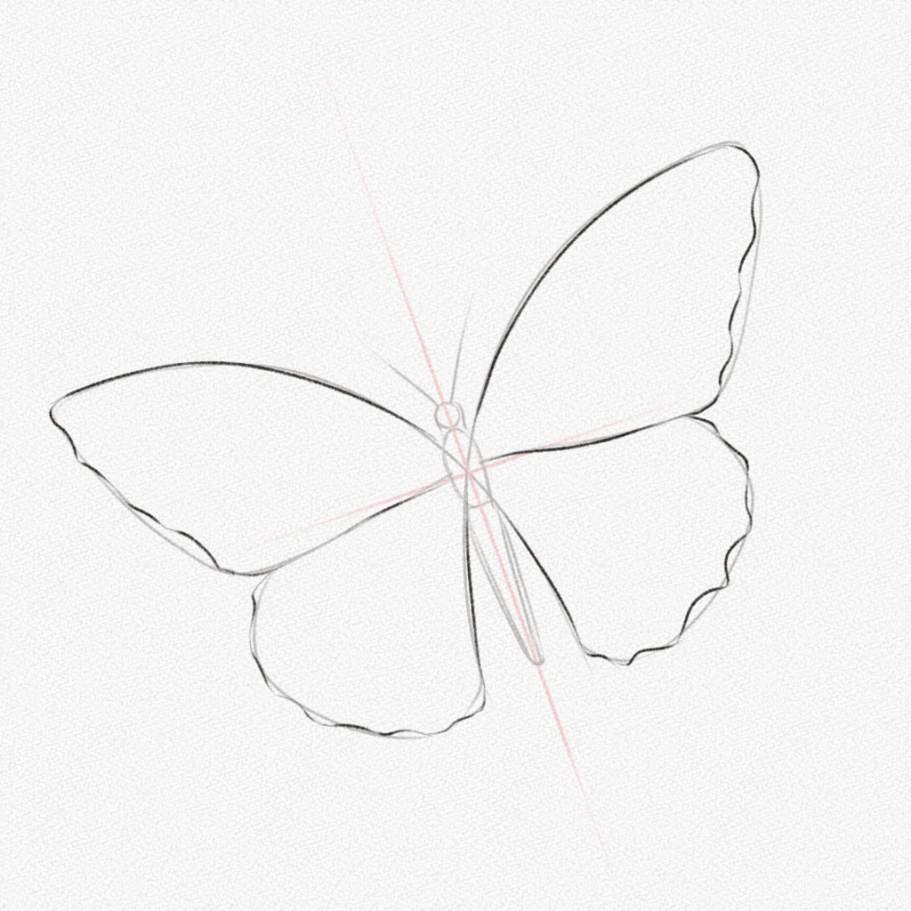 How to Draw a Butterfly – A Step-by-Step Tutorial - Artlex