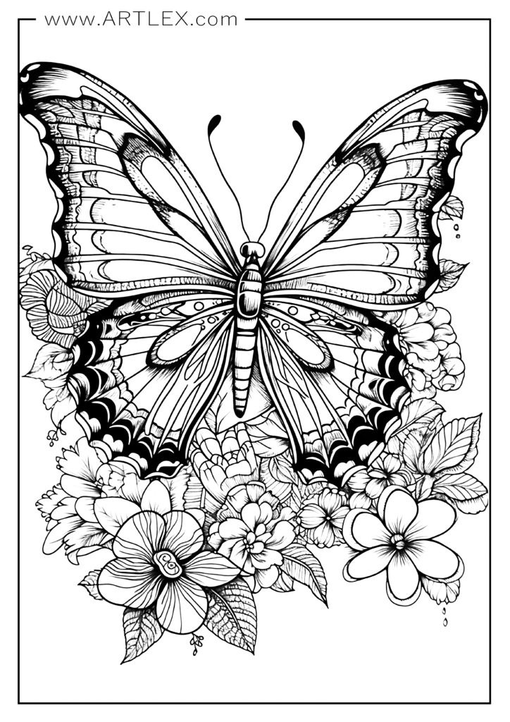 16 Best Butterfly Coloring Pages (free + Printable) – Artlex