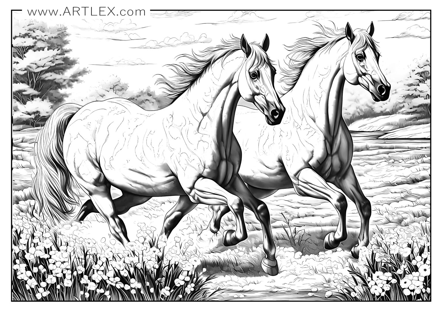 12 Best Horses Coloring Pages (Free + Printable)   Artlex